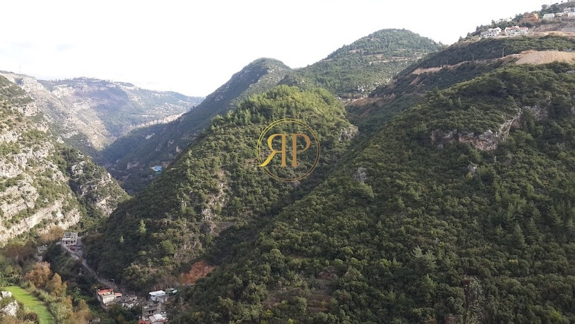 20,000m2 Land in Maaysra for Sale