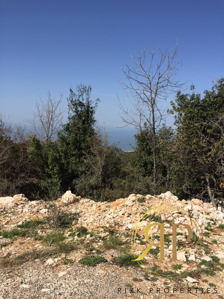 Land for sale in Ras Osta, Jbeil - Exceptional offer!