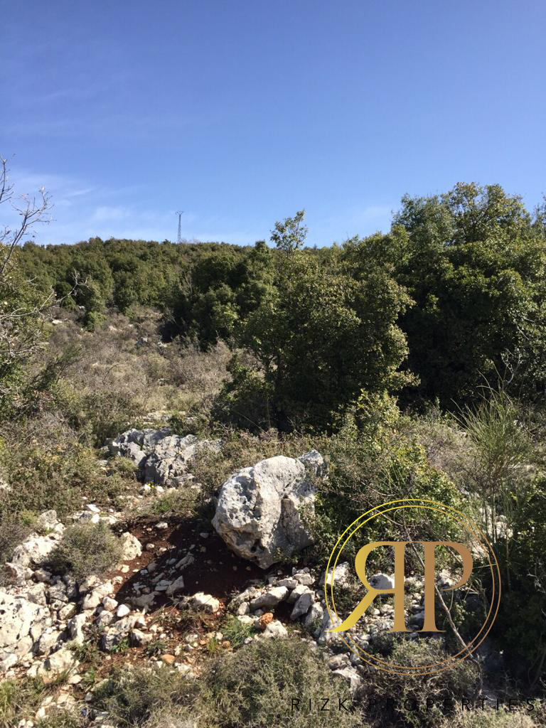 Land for sale in Ras Osta, Jbeil - Exceptional offer!