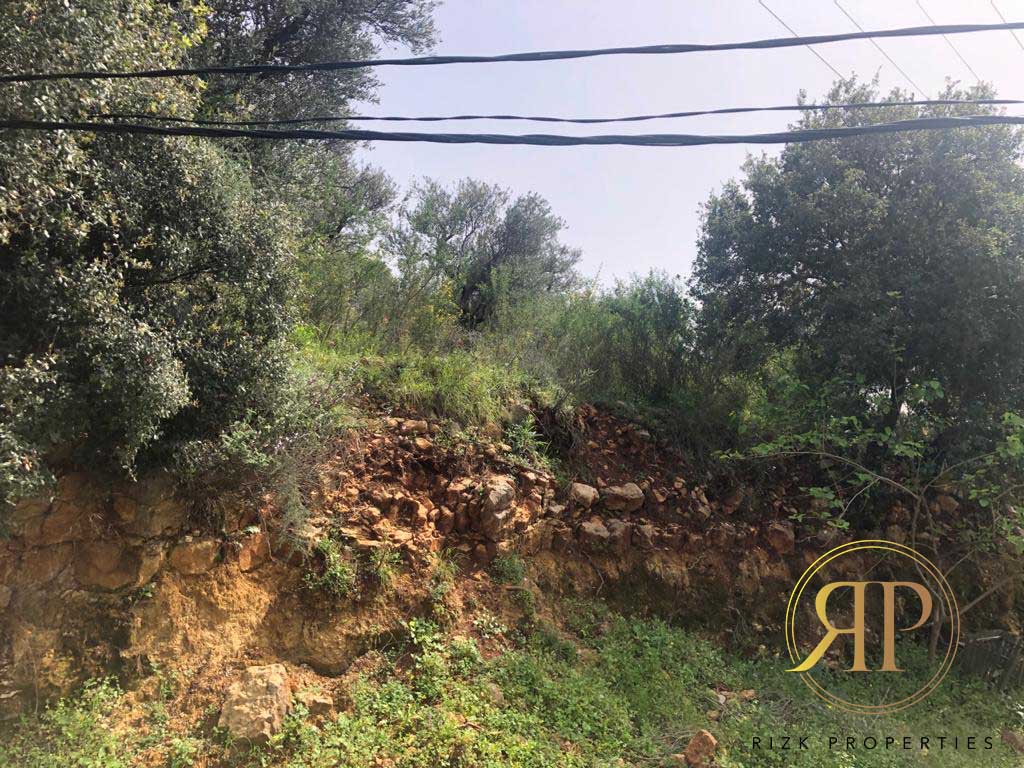 Very Well Located Land in WADI CHAHROUR !