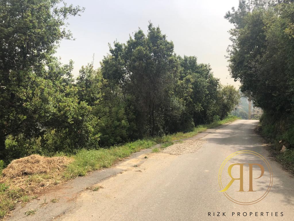 Lands for sale in Baabda - Exceptional 22,000m2 next to the Presidential Palace