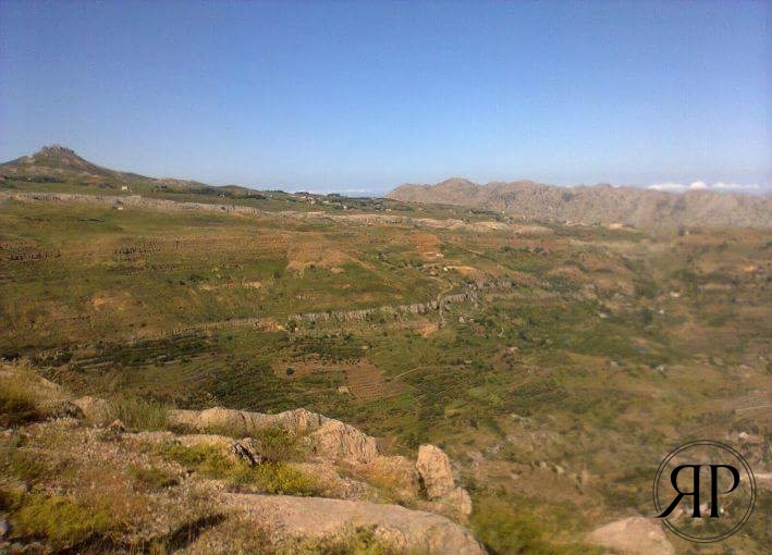 Land for sale in Tannourine
